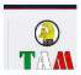 Logo Scarrabili TAM per autocarri